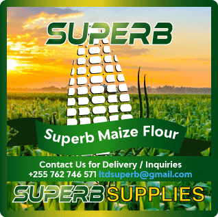 Maize